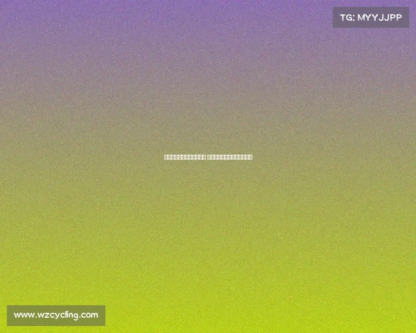 西甲俱乐部薪资水平大揭秘 球员收入差异与背后因素分析