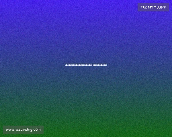 天空体育报道：伊萨克已抵达纽卡训练基地 今日其他球员放假休整